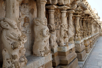 Row of pillars with carvings of Lion sculpture in in ancient Kanchi Kailasanathar temple in Kanchipuram, Tamil nadu. Indian art of Animal relief sculptures carved in sandstone at historic temple.