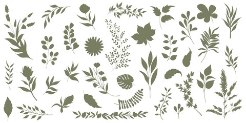 Fototapeta na wymiar Set of elegant silhouettes of flowers, branches and leaves. Thin hand drawn vector botanical elements