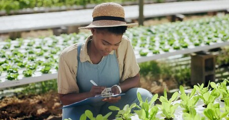 Woman, farming and clipboard for greenhouse plants in agriculture, sustainability and growth or quality control. African farmer with checklist, writing notes and inspection of vegetables production