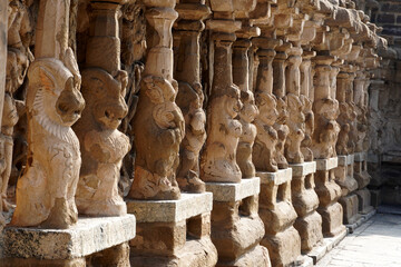 Row of pillars with carvings of Lion sculpture in in ancient Kanchi Kailasanathar temple in Kanchipuram, Tamil nadu. Indian art of Animal relief sculptures carved in sandstone at historic temple.