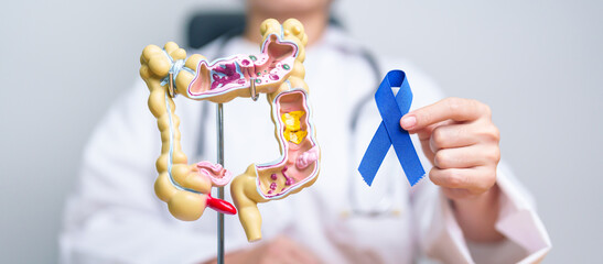 Doctor holding Blue ribbon with human Colon anatomy model. March Colorectal Cancer Awareness month,...