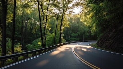 Fototapeta premium Aerial view of road between green forest and blue lake