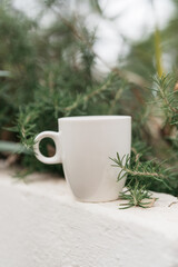 mug surrounded by evergreen branches