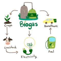 Biogas or bio gas division for energy consumption and sources outline diagram. Labeled educational natural renewable resource for eco gas grid and fuel or heat and electricity 