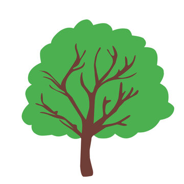 Flat Design Trees Illustration 