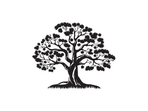Single big Oak tree and leaves silhouette. Hand Drawn Old Oak Tree Vintage Vector Illustration
