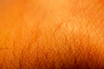 Closeup human skin texture. Healthy hand skin macro pattern. dermatology concept - 722254467