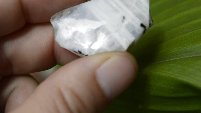Moonstone mineral on green background
