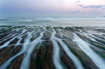 Sunrise at Laomei Coast Geopark, a unique rocky beach in Taiwan, with green seaweed (ulva lactuca)...