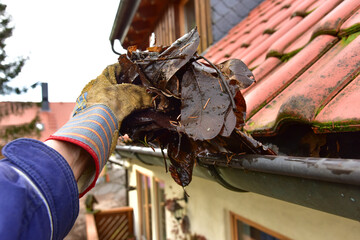 Manuelle Reinigung der durch Laub verstopften Kupferdachrinne an einem Wohnhaus-Ziegeldach von der...