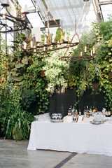 cocktail bar setup in a greenhouse