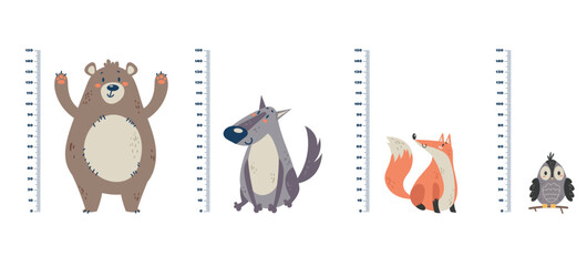 Kids growth rulers with jungle animals set. Vector flat graphic design illustration	