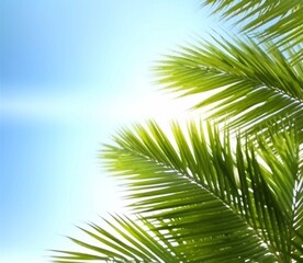 Fototapeta premium Design element for presentation layout on blurry background with blue sky sunny light. Palm leave closeup realistic