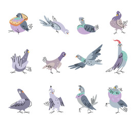 Funny pigeon set. Emotional dove in various poses. Isolated cartoon pigeons flying, eating, go to bed. Cute wild birds nowaday vector characters - obrazy, fototapety, plakaty