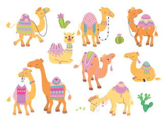 Camels characters cartoon set. Desert animals, funny camel with carpet and saddle. Arabian animal, children cute nowaday vector collection