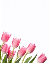 Naklejka premium Bouquet of pink tulips on a white background. Place for text.
