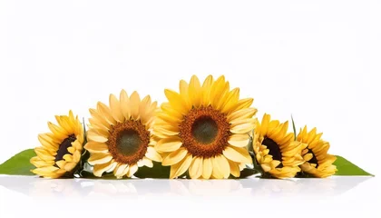 Rolgordijnen Sunflowers isolated on white background with copy space for your text. © Євдокія Мальшакова