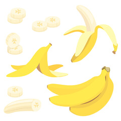 Vector bananas set, cartoon icon of banana fruit, illustration of half, peeled, bunch and slices bananas in flat style isolated on white background