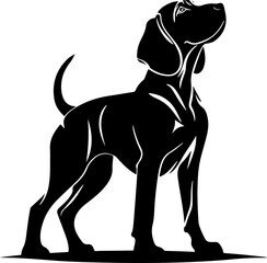 Bloodhound - obrazy, fototapety, plakaty