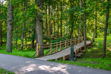 The boardwalks leading through the park. Quiet path. Smiltene Old Park, Latvia. Wooden walkway.