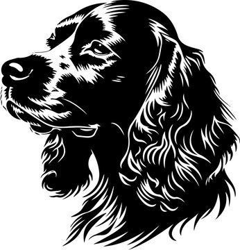 Cocker Spaniel