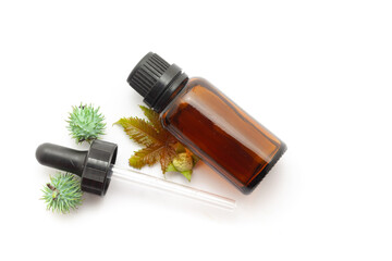 Castor (Ricinus communis) flower, leaves, and fruits with oil in a glass bottle and a dropper. Isolated on a white background.