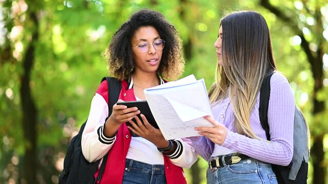 Female multiethnic students having a conversation outdoor