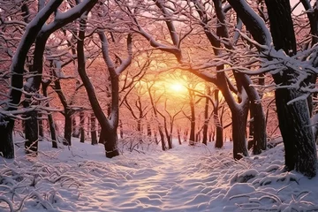 Fototapeten Beautiful winter landscape in the forest with trees covered with snow at sunset © Rainbow