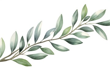 Watercolor olive branch isolated on white background,  Hand painted illustration - obrazy, fototapety, plakaty