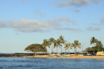 Canoes lined up in a colorful display at a tropical island setting. 