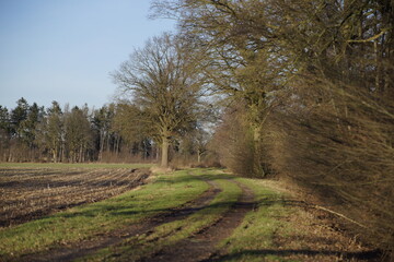 Auf dem Feldweg