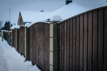 Tree farm covered with snow during winter. Snow blizzard.