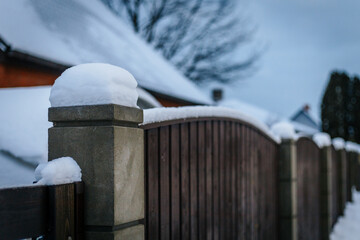 Tree farm covered with snow during winter. Snow blizzard.