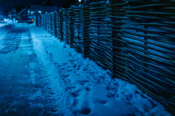 Tree farm covered with snow during winter. Snow blizzard.