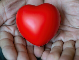 Person Holding Heart, Love, Care, Happiness, Emotion, Kindness, Health, Humanity, Valentines Day