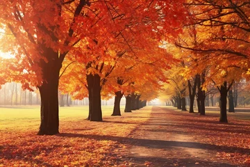 Fotobehang Beautiful autumn landscape with colorful trees and road in park at sunset © Lucid