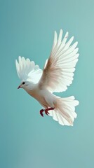 a white dove is flying in the sky in light sun rays