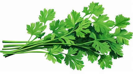 vibrant beauty of a parsley sprig with bright green aromatic leaves, showcasing its role as a natural flavoring ingredient