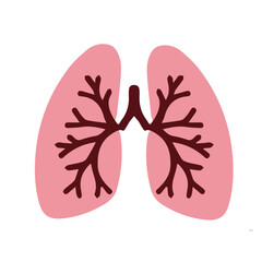 Human anatomy internal organ set with brain lung intestine heart kidney liver and stomatch