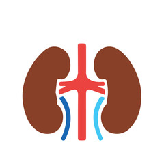 Human anatomy internal organ set with brain lung intestine heart kidney liver and stomatch