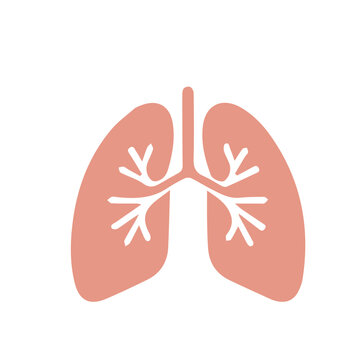 Human anatomy internal organ set with brain lung intestine heart kidney liver and stomatch