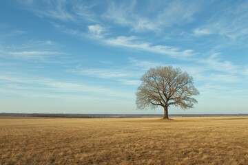 A solitary tree stands tall amidst the vast expanse of a dry savanna, its branches reaching towards the cloud-dotted sky, a symbol of resilience and beauty in the natural landscape