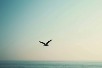 Fototapeta na wymiar A majestic sea gull gracefully soars over the tranquil ocean, its wings gliding effortlessly through the open sky as it embarks on its annual migration journey