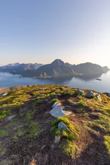 Fototapete Rund The eternal light of the midnight sun washes over the Lofoten Islands, with the perspective from Offersoykammen highlighting the area's stunning topography (Vertical photo) © Artem