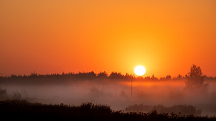 Sunrise sun over forest. Summer landscape in morning with fog. Golden hour in nature.