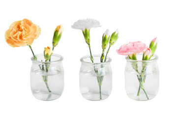 A set of pink, yellow and white flowers in small vases or jars. On a blank background