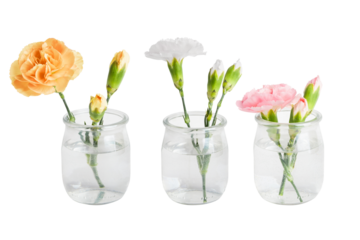 A set of pink, yellow and white flowers in small vases or jars. On a blank background