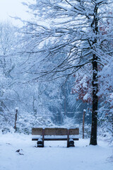 Winterstimmung im Ebersberger Forst
