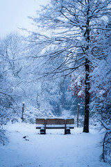 Winterstimmung im Ebersberger Forst