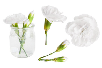 A set of white flowers in a mini vase and separately. On a blank background